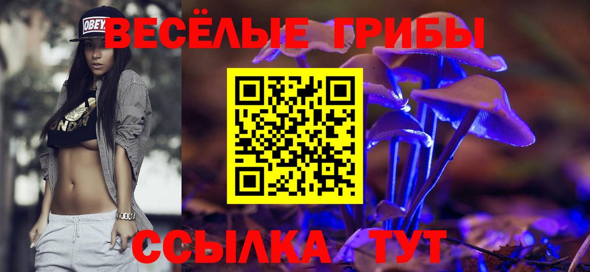 Галлюциногенные грибы Cubensis  Вход с VPN  купить   Стрежевой 